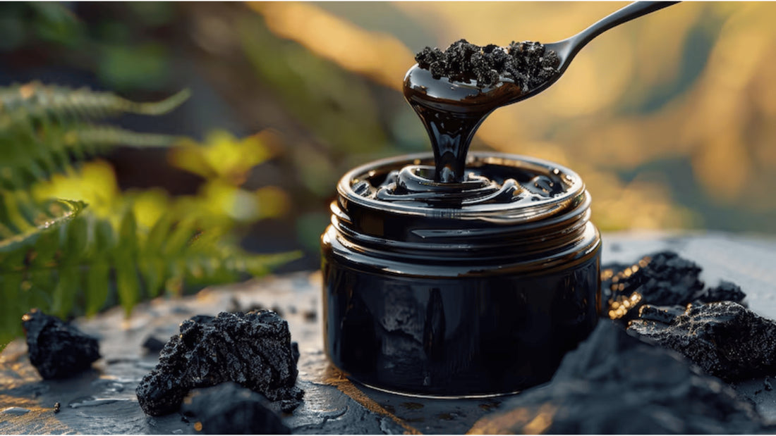 Health Benefits of Shilajit for Women