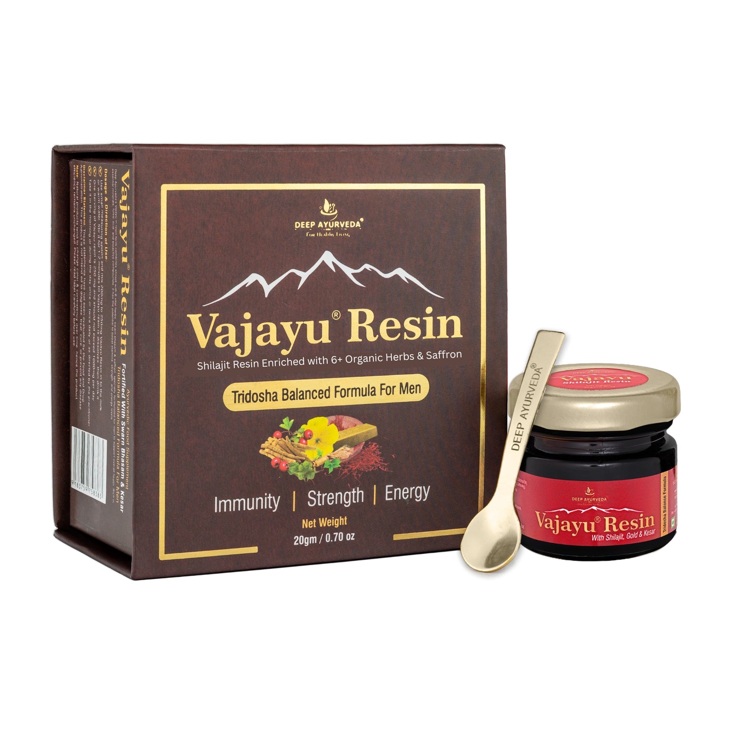 Vajayu Shilajit Resin for Men