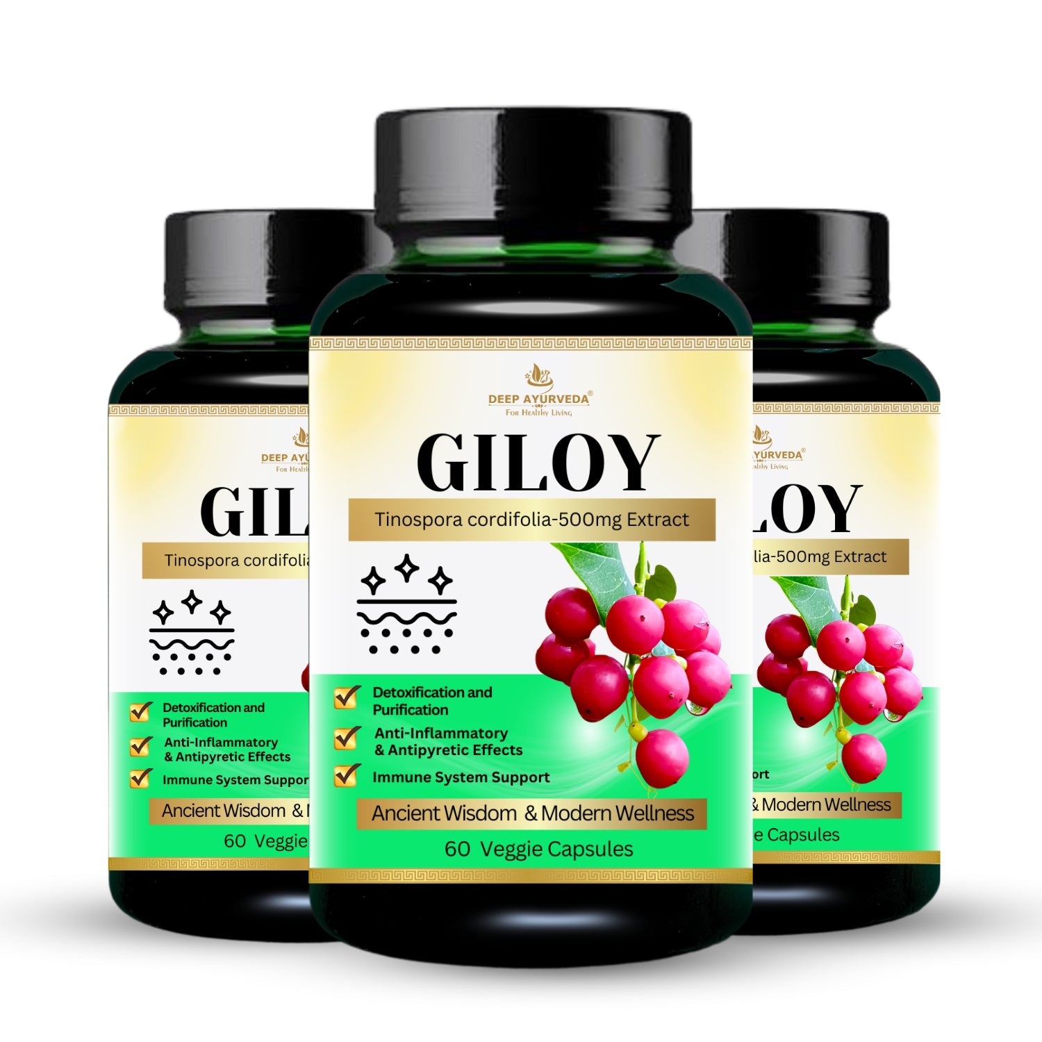 Giloy (Tinospora cordifolia) Vegan Capsule Pack 3
