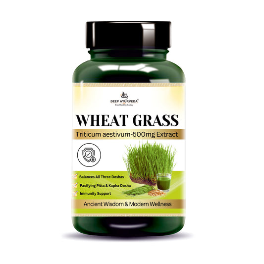 Wheatgrass Vegan Capsule 10:1 extract | Rich in Vitamins, Minerals, and Antioxidants | Immune Function & Enhance Energy Levels